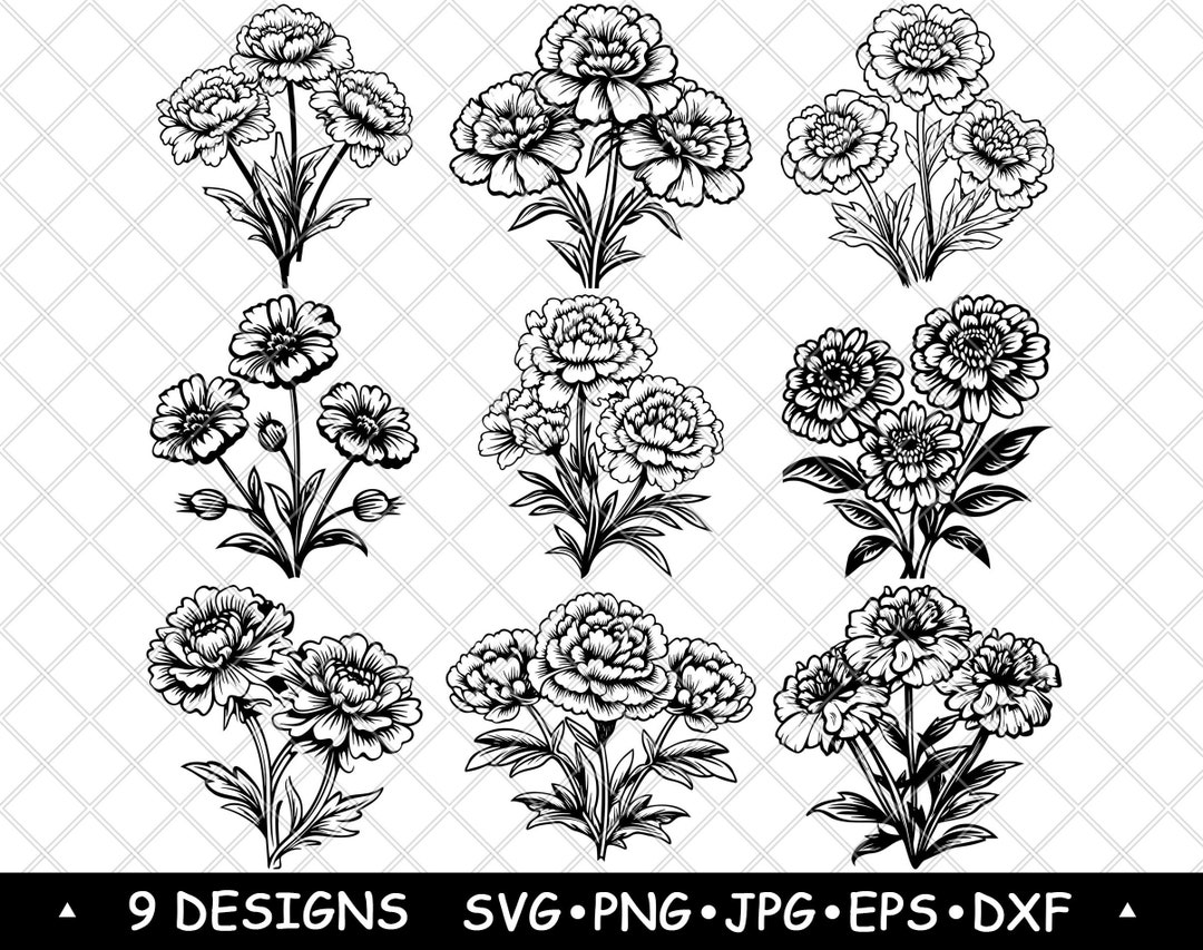 Carnation Flower SVG Bundle | Elegant Floral Clipart for Laser ...
