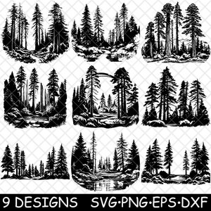Redwood National Park Coastal Giant Trees California Tall Forest SVG, DXF, Eps, PNG, Cricut, silhouet, snede, laser, stencil, sticker, clipart, afdrukken