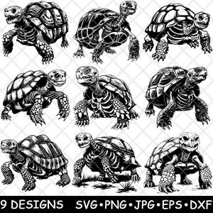 May include: Nine black and white illustrations of tortoises in various poses. The tortoises are drawn in a detailed, realistic style.