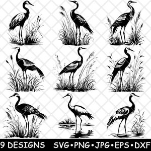 Kraanvogel Garza Grus reiger zilverreigers moeras moerasvogels laserbestand SVG PNG JPG grijswaarden afbeelding branden gesneden vector Coaster zwart wit CNC hout