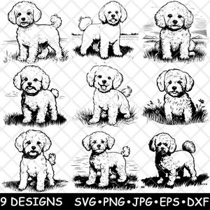 Perro de raza Bichón Frisé, juguete esponjoso, adorable, cachorro canino, rizado, SVG, Dxf, Eps, PNG, Cricut, silueta, corte, láser, plantilla, termoadhesivo, clipart, impresión