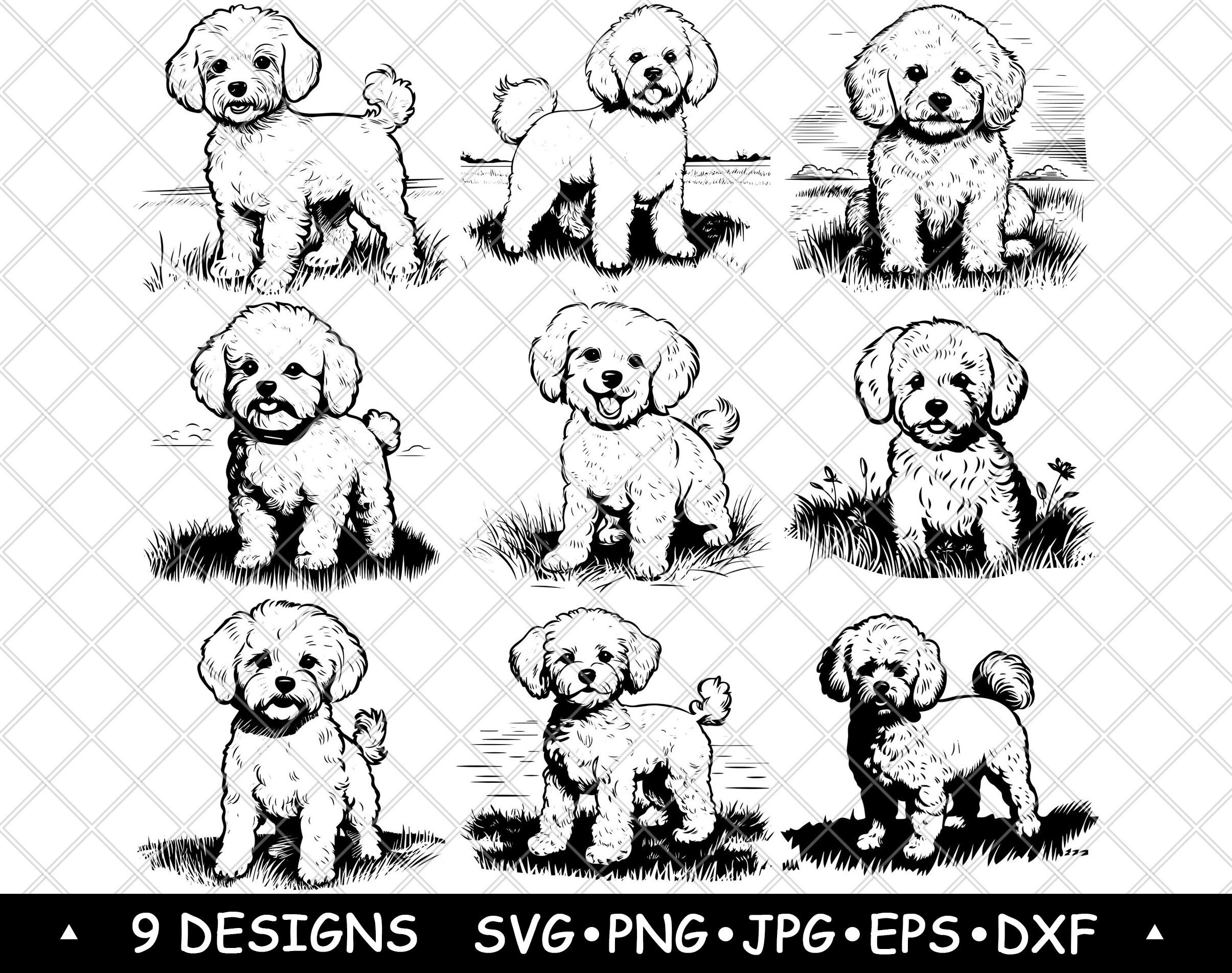 Bichon Frise Dog Breed Fluffy Toy Cuddly Lap Canine Pup Cute Curly SVG,Dxf,Eps,PNG,Cricut,Silhouette,Cut,Laser,Stencil,Iron-on,Clipart,Print