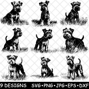 Mini Schnauzer Cachorro Pequeno Brinquedo Animal de Estimação Colo Filhote Canino Bonito Arquivo Laser SVG PNG JPG Tons de Cinza Queimado Imagem Corte Vetor Coaster Preto Branco Cnc Madeira