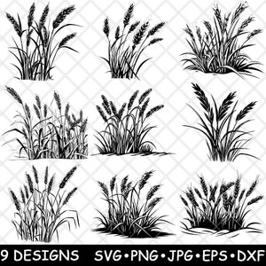 Riso Palay Paddy raccolto grano base asiatico fattoria cereale pianta campo SVG,Dxf,Eps,PNG,Cricut,Silhouette,Taglio,Laser,Stencil,Stiratura,Clipart,Stampa