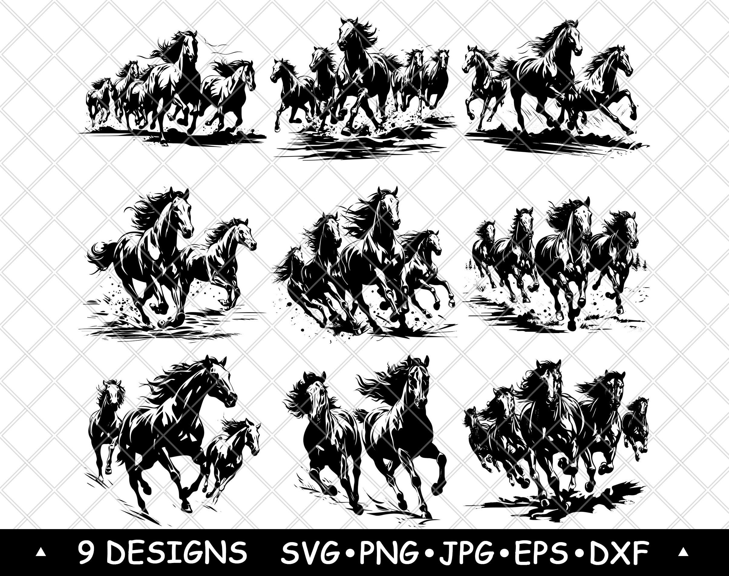Konie arabskie galopujące Quarter Thoroughbred American Paint Morgan SVG, DXF, Eps, PNG, Cricut, sylwetka, cięcie, laser, szablon, naklejka, clipart, druk