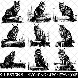Maine Coon Peludo Gato de Pelo Longo Log Housecat Pet Country Laser Arquivo SVG PNG JPG Tons de Cinza Imagem Queimada Corte Vetor Coaster Preto Branco Cnc Madeira