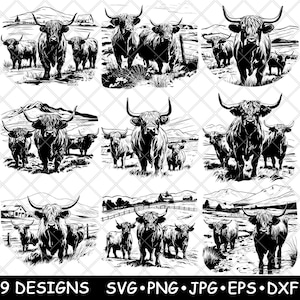 Puede incluir: Nueve ilustraciones en blanco y negro de ganado Highland en varias poses. El ganado está de pie, caminando y acostado en un entorno de campo.
