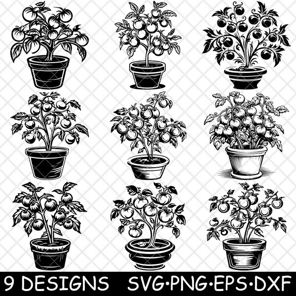 Tomato Plant Fruit in Pot Ripe Fresh Vine Red Green Cherry Garden SVG,Dxf,Eps,PNG,Cricut,Silhouette,Cut,Laser,Stencil,Sticker,Clipart,Print