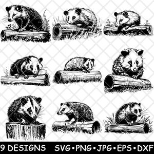 Opossum nachtelijk buideldier log opossum knaagdier laserbestand SVG PNG JPG grijswaarden afbeelding branden gesneden vector Coaster zwart wit CNC hout