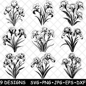 May include: Nine black and white line art illustrations of iris flowers. Each illustration features a different arrangement of the flowers.