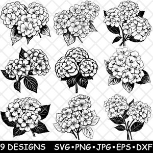 Op de afbeelding: Zwart-wit bloemdesign met negen hortensia-arrangementen. Elk arrangement toont gedetailleerde bloemblaadjes en bladeren. De afbeelding bevat de tekst "9 DESIGNS SVG PNG JPG EPS DXF".