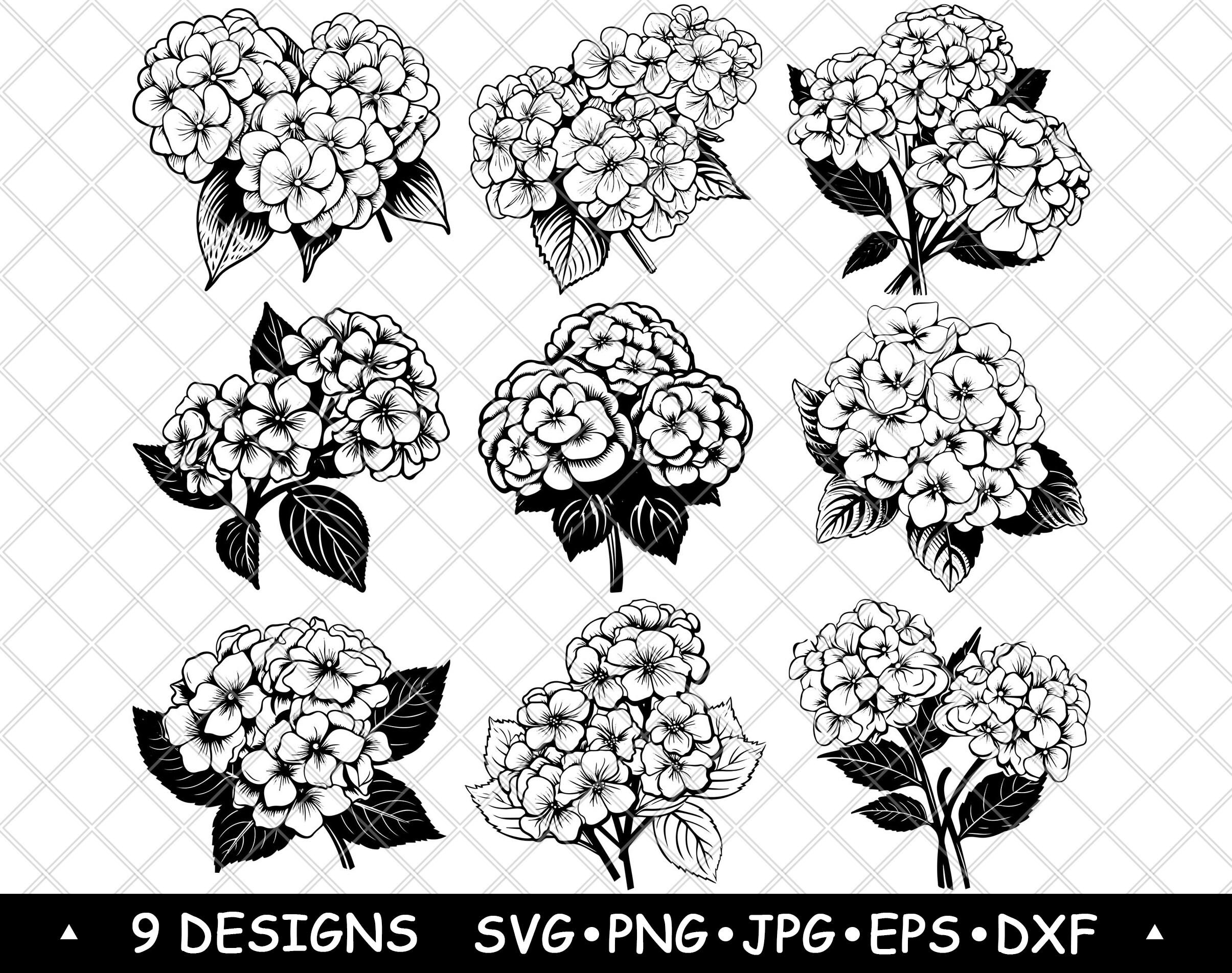 Hydrangea Flower Bloom Garden Shrub Hortensia Bouquet Laser File SVG PNG JPG Grayscale Burn Image Cut Vector Coaster Black White Cnc Wood