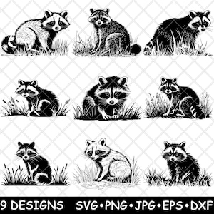 Wasbeer Prullenbak Panda stedelijke nachtelijke dieren in het wild dieren bont laserbestand SVG PNG JPG grijswaarden afbeelding branden gesneden vector Coaster zwart wit CNC hout