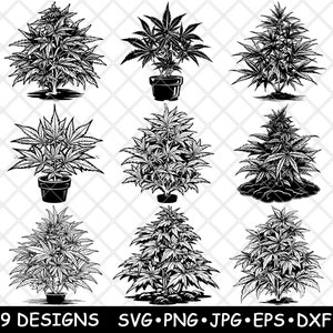Cannabis Erva Maconha Maconha Erva Ganja Planta Mary Jane Laser Arquivo SVG PNG JPG Tons de Cinza Queimado Imagem Corte Vetor Coaster Preto Branco Cnc Madeira