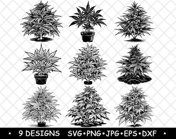Cannabis Plant SVG Bundle Potted Hemp Clipart Botanical Leaf Vector  Dispensary Decor Laser PNG - Etsy