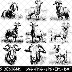 Cabra Boer, raza de animales de granja, ganado, vida silvestre, país, archivo láser, SVG, PNG, JPG, escala de grises, imagen quemada, corte, vector, posavasos, negro, blanco, CNC, madera
