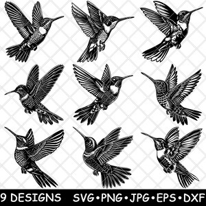 Colibrì che vola con le ali spiegate, piccolo uccello selvatico, aviario, file laser SVG PNG JPG, scala di grigi, brucia l'immagine, taglio, vettore, sottobicchiere, bianco e nero, legno CNC