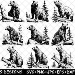 Orso grizzly, Kodiak, Orso bruno, Fauna selvatica, Carnivoro, Cucciolo, SVG, Dxf, Eps, PNG, Cricut, Silhouette, Taglio, Laser, Stencil, Adesivo, Clipart, Stampa