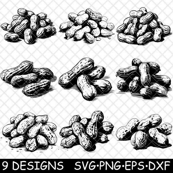 Peanut Groundnut Legume Nut Snack Roasted Farm Garden Plant Butter SVG,DXF,Eps,PNG,Cricut,Silhouette,Cut,Laser,Stencil,Sticker,Clipart,Print