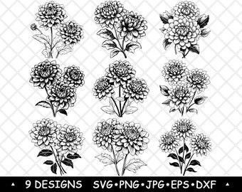 Dahlia Flower SVG Bundle Botanical Bloom Clipart Garden Floral Vector Art Laser Decor PNG