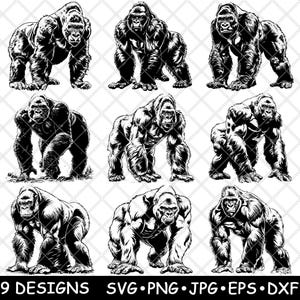 Könnte beinhalten: Neun Schwarzweißillustrationen von Gorillas in verschiedenen Posen. Die Gorillas sind in einem realistischen Stil mit detailliertem Fell und Muskulatur dargestellt.