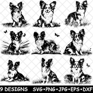 Cachorro de perro Papillon, mascota, raza pequeña, Spaniel, cachorro, mariposa, archivo láser, SVG, PNG, JPG, escala de grises, imagen quemada, corte vectorial, posavasos, negro, blanco, CNC, madera