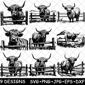 May include: Nine black and white illustrations of Highland cattle standing behind a wooden fence. The cattle are facing forward and have long horns. The illustrations are in a simple, line art style.