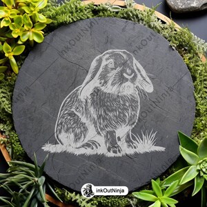 Holland Lop Dwarf Rabbit Mini Small Bunny Eared Pet Petite Dutch Svg ...