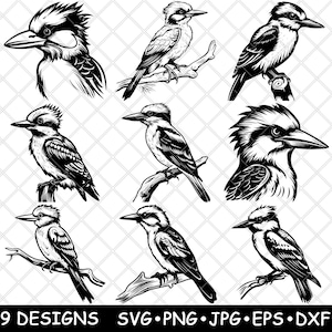 Gewone kookaburra ijsvogel boom terrestrische carnivoor laserbestand SVG PNG JPG grijswaarden afbeelding branden gesneden vector Coaster zwart wit CNC hout