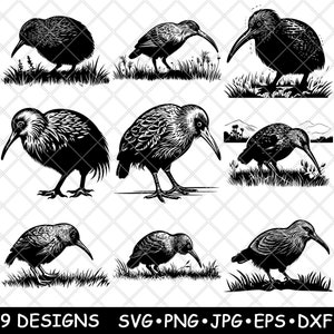 Kiwi Uccello Volante Marrone Nuova Zelanda Piuma Becco Lungo File Laser SVG PNG JPG Scala di Grigi Brucia Immagine Taglia Vettore Sottobicchiere Nero Bianco Cnc Legno