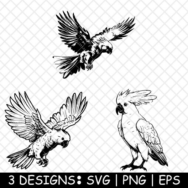 Cockatoo Sulphur-crested white parrot Exotic Bird on Tree PNG,SVG,EPS,Cricut,Silhouette,Cut,Stencil,Sticker,Decal,3s,Clipart,Print