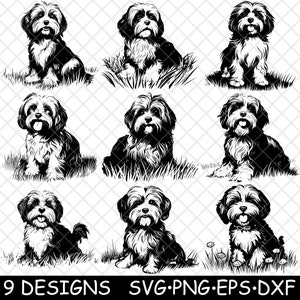 Bichon Cubano Havanese Cachorro Brinquedo Lap Pet Pele Filhote Raça Bonita Arquivo Laser SVG PNG JPG Tons de Cinza Queimado Imagem Corte Vetor Coaster Preto Branco Cnc Madeira