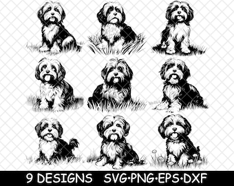 Bichon Cuban Havanese Dog Toy Lap Pet Fur Pup Cute Breed Laser File SVG PNG JPG Grayscale Burn Image Cut Vector Coaster Black White Cnc Wood
