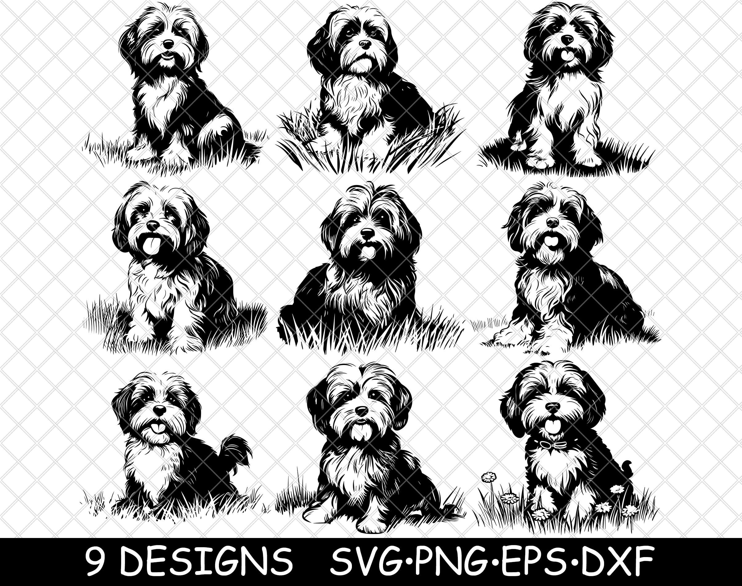 Sticker for Sale mit Billy Hund, spähender Hund Aufkleber, Fell