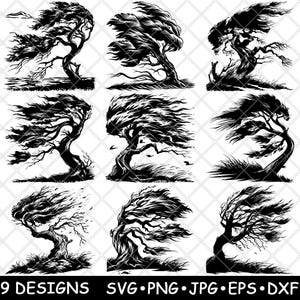 Albero spazzato dal vento, forti venti, paesaggio forestale stagionato, file laser SVG, PNG, JPG, immagine in scala di grigi, bruciata, taglio, vettore, sottobicchiere, legno CNC bianco e nero