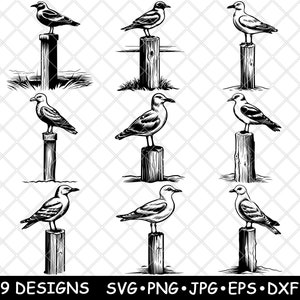 Zeemeeuw Zeevogel Kust Kust Oceaan Houten Post Marine Bird Laserbestand SVG PNG JPG grijswaarden afbeelding branden gesneden vector Coaster zwart wit CNC