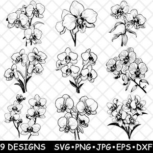 Orchideen Blume Cattleya Dendrobium Frauenschuh Vanda Laser-Datei SVG PNG JPG Graustufen Brennen Bild Schnitt Vektor Untersetzer Schwarz Weiß Cnc Holz