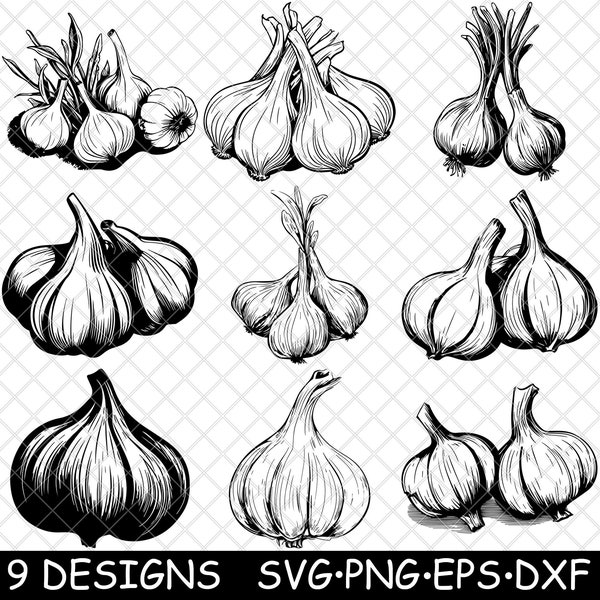 Ail bulbe de clous de girofle Allium Sativum Spice Arôme Ingrédient SVG, Dxf, Eps, PNG, Cricut, Silhouette, Couper, Laser, Pochoir, Autocollant, Clipart, Imprimer