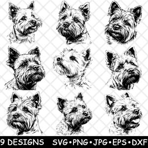 Cairn Terrier hondenras kleine hond pluizige harige huisdier laserbestand SVG PNG JPG grijswaarden afbeelding branden gesneden vector Coaster zwart wit CNC hout