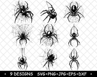 Spider Web SVG Bundle Gothic Arachnid Clipart Creepy Halloween Vector Art Dark Laser Decor