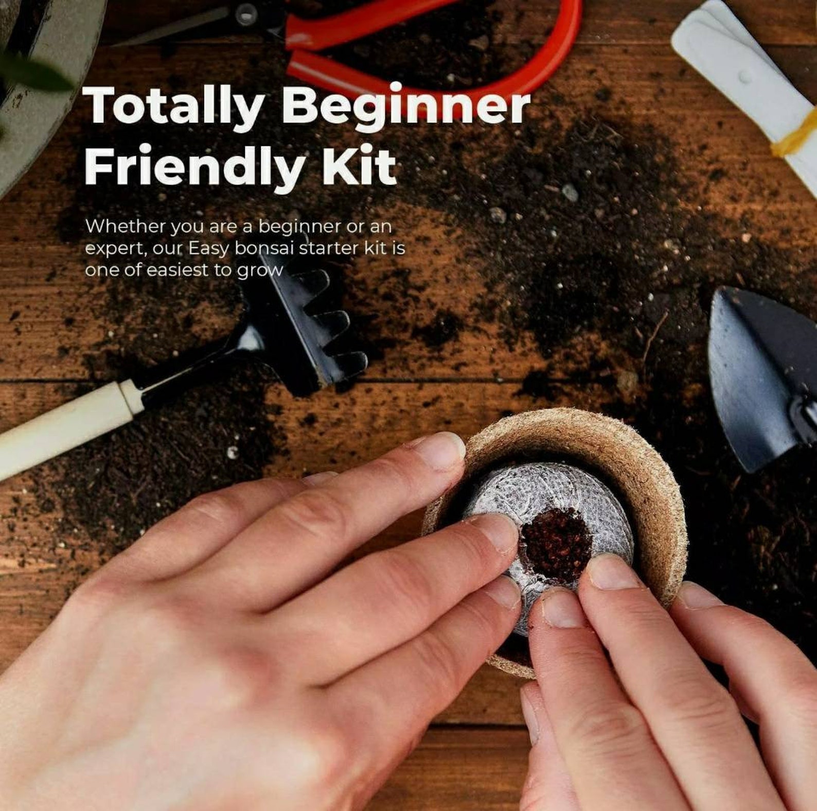 8 Easy Bonsai Starter Kit Etsy UK