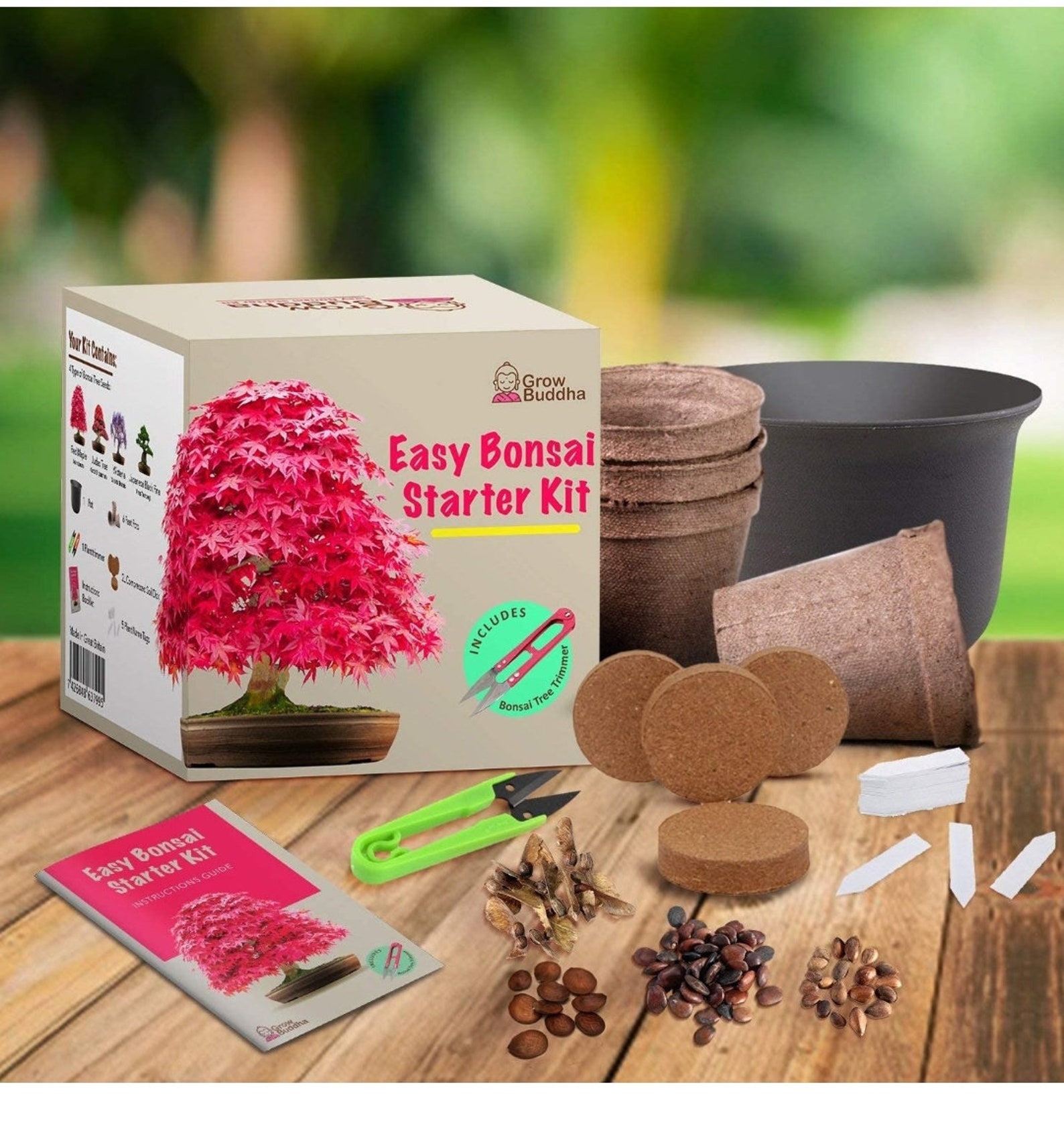 Grow Your Own Bonsai Starter Kit Etsy