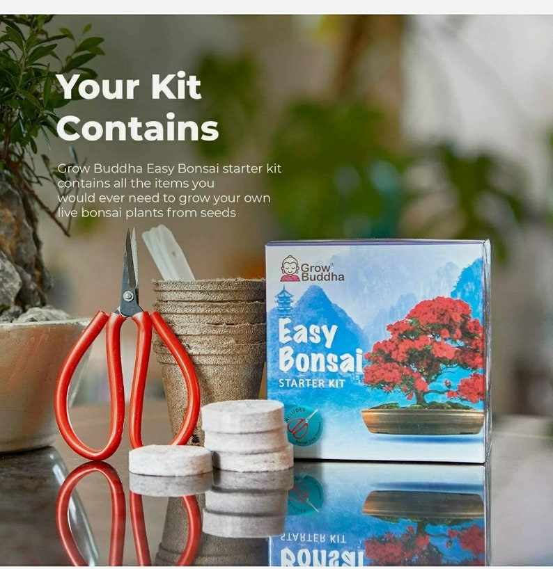 8 Easy Bonsai Starter Kit Etsy