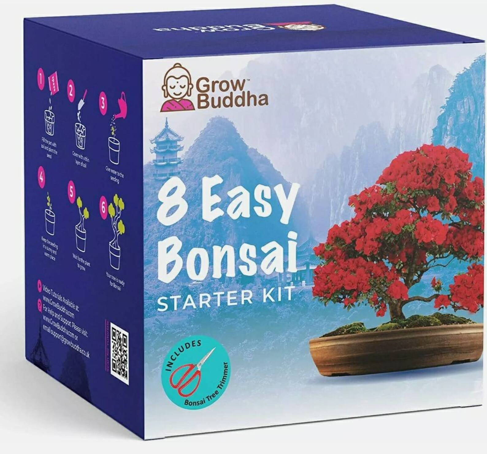 8 Easy Bonsai Starter Kit Etsy UK