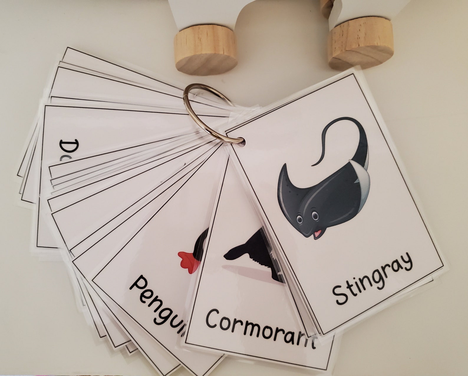 33 Laminated Ocean Animal Flashcards on a Ring Etsy