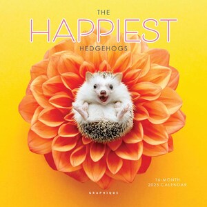 Calendario da parete 2025 Happiest Hedgehogs Mini / 7” x 7” / Carta spessa
