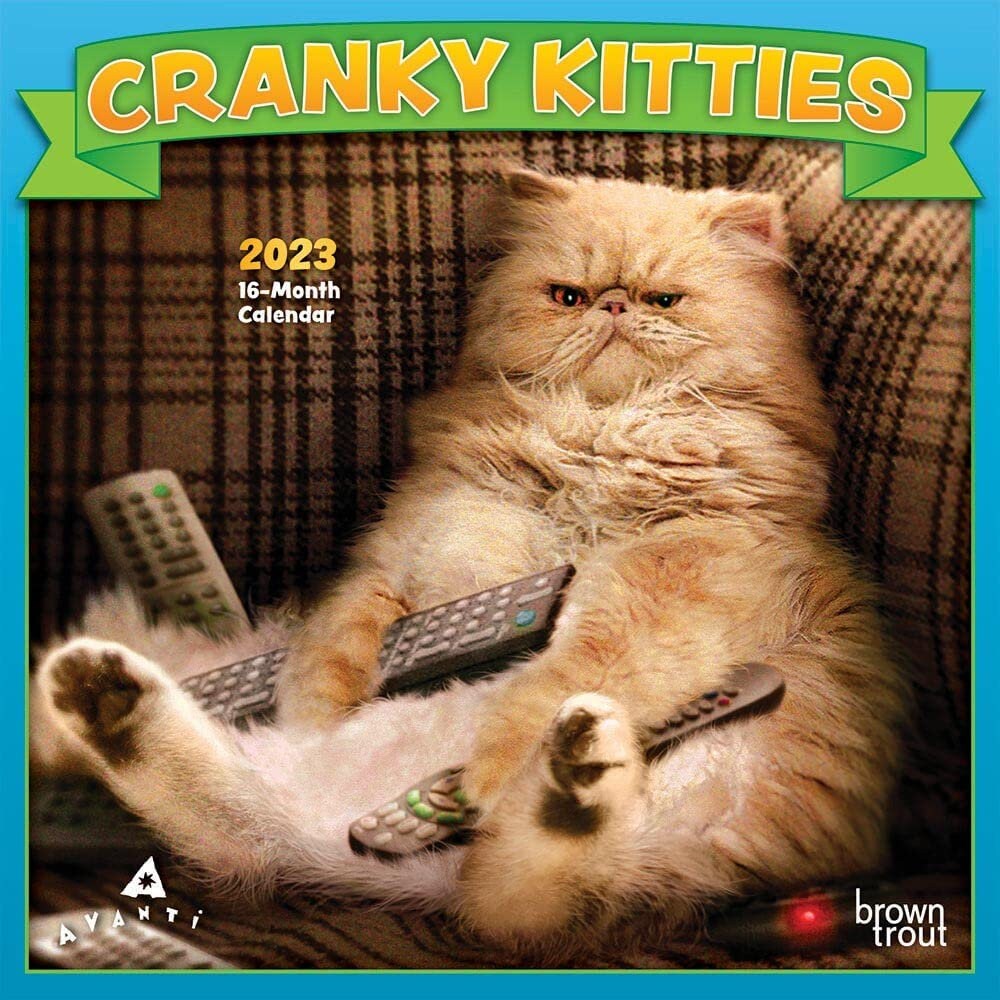 2023 Cranky Kitties Mini Wall Calendar - Etsy