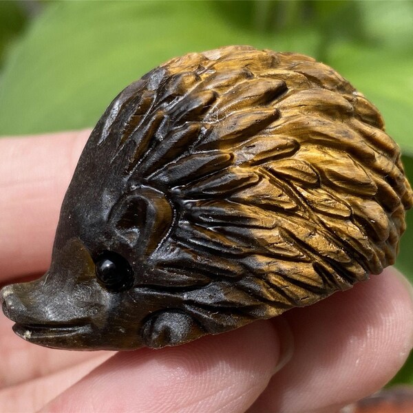 Tiger Eye Skull Etsy
