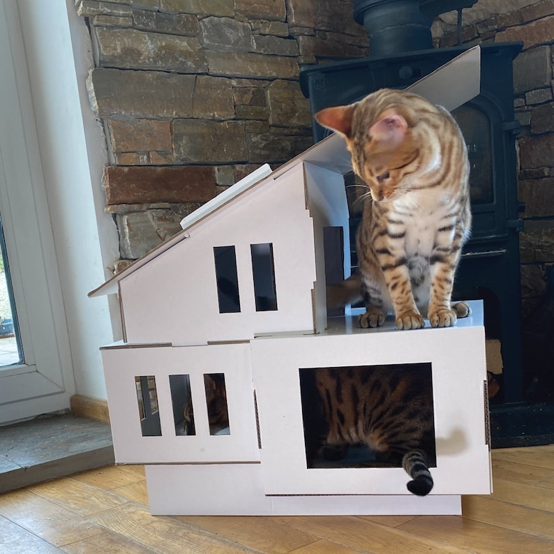 May include: A white cardboard cat house with multiple openings. A brown tabby cat is sitting on the top of the house and another cat is looking out of a window.