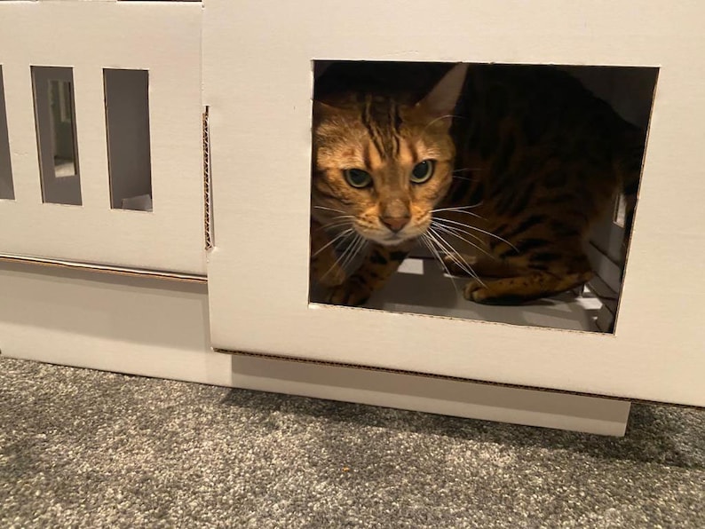 May include: A brown and black tabby cat peeks out of a white cardboard cat house with a small window opening. The cat house has a flat roof and a base.
